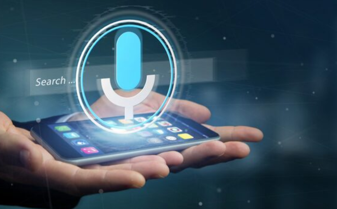 Voicebot PrymeNet